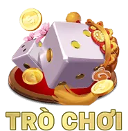 Gà Mỹ lai kết hợp